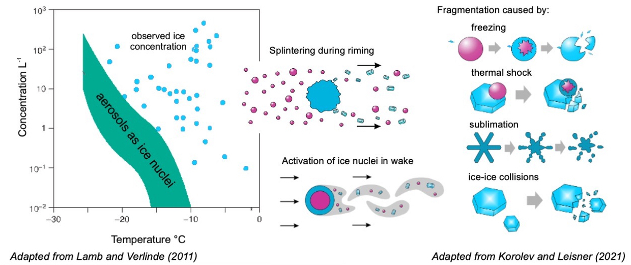 Ice Multiplication processes