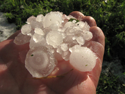 Muehr_Hagel_800px.jpg Muehr_Hagel_800px.jpg